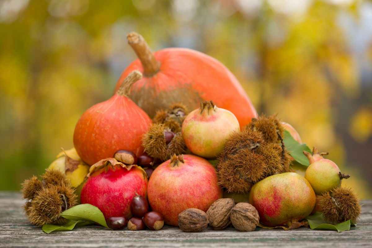 alimenti da evitare autunno