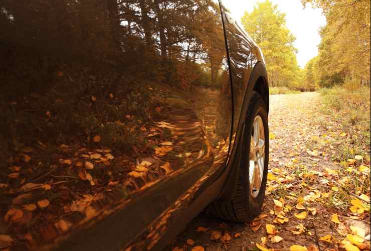 Controlli auto salvavita in autunno