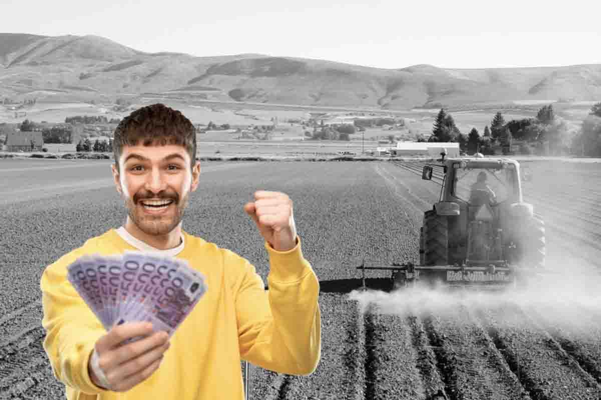 cosa fare con terreno agricolo