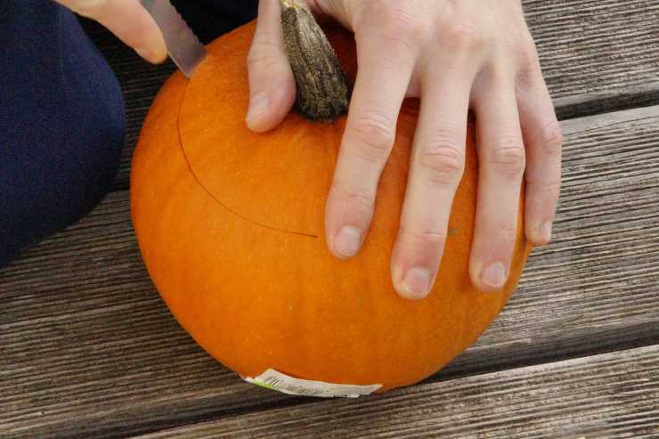 zucca tagliata