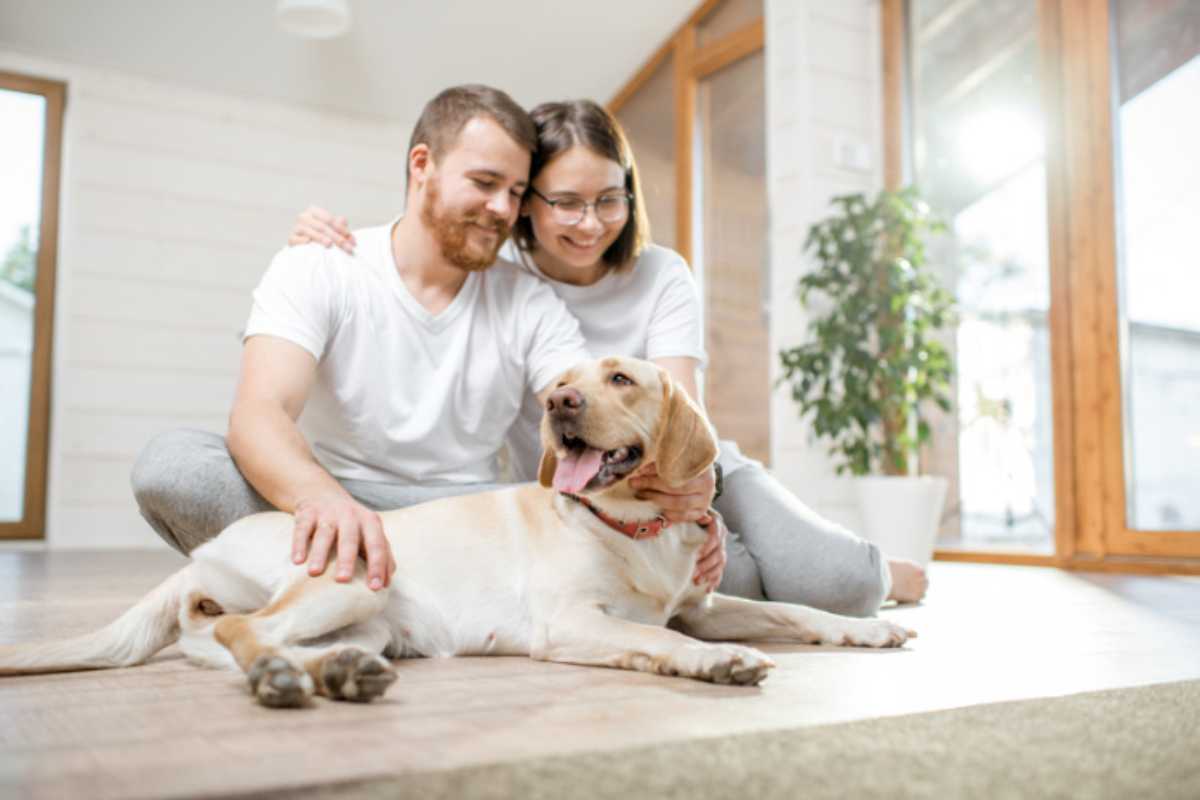 animali in casa e vita di coppia