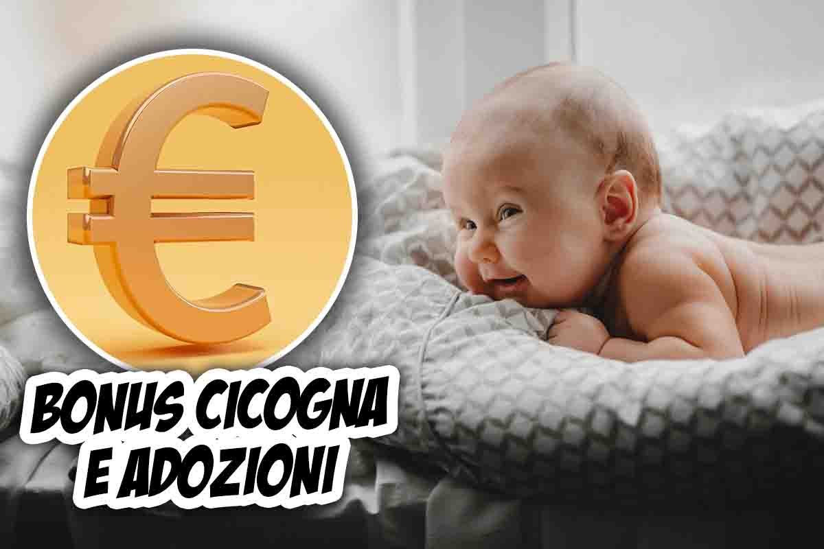 Bonus cicogna- newsandcoffee.it