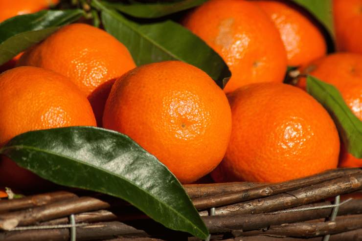 Proprietà e benefici dei mandarini