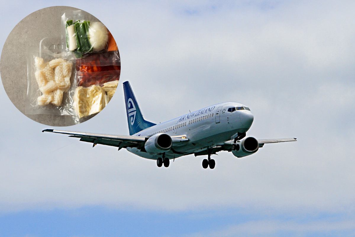 aereo- cibo