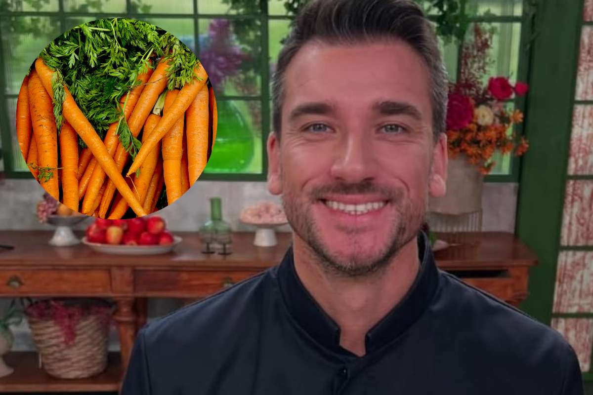 damiano carrara e carote