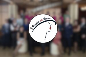 logo il paradiso delle signore