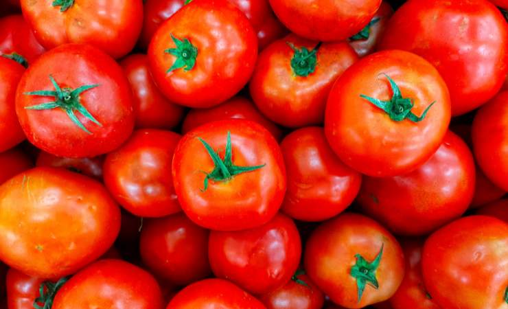 pomodori