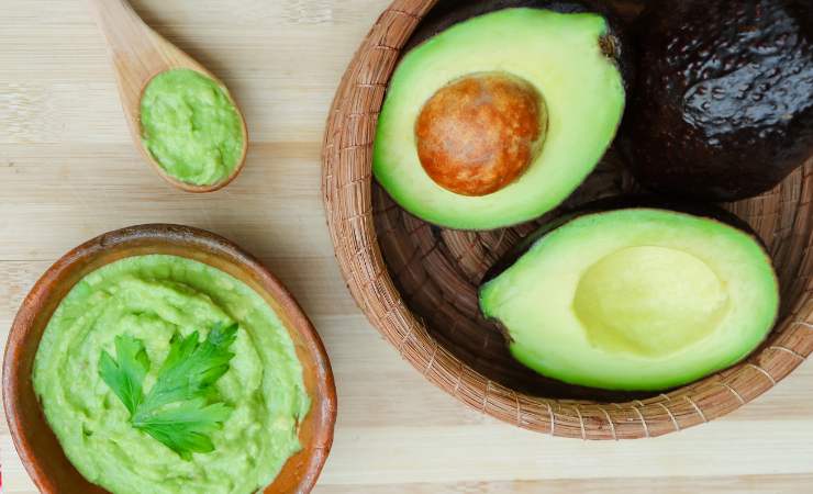 avocado 