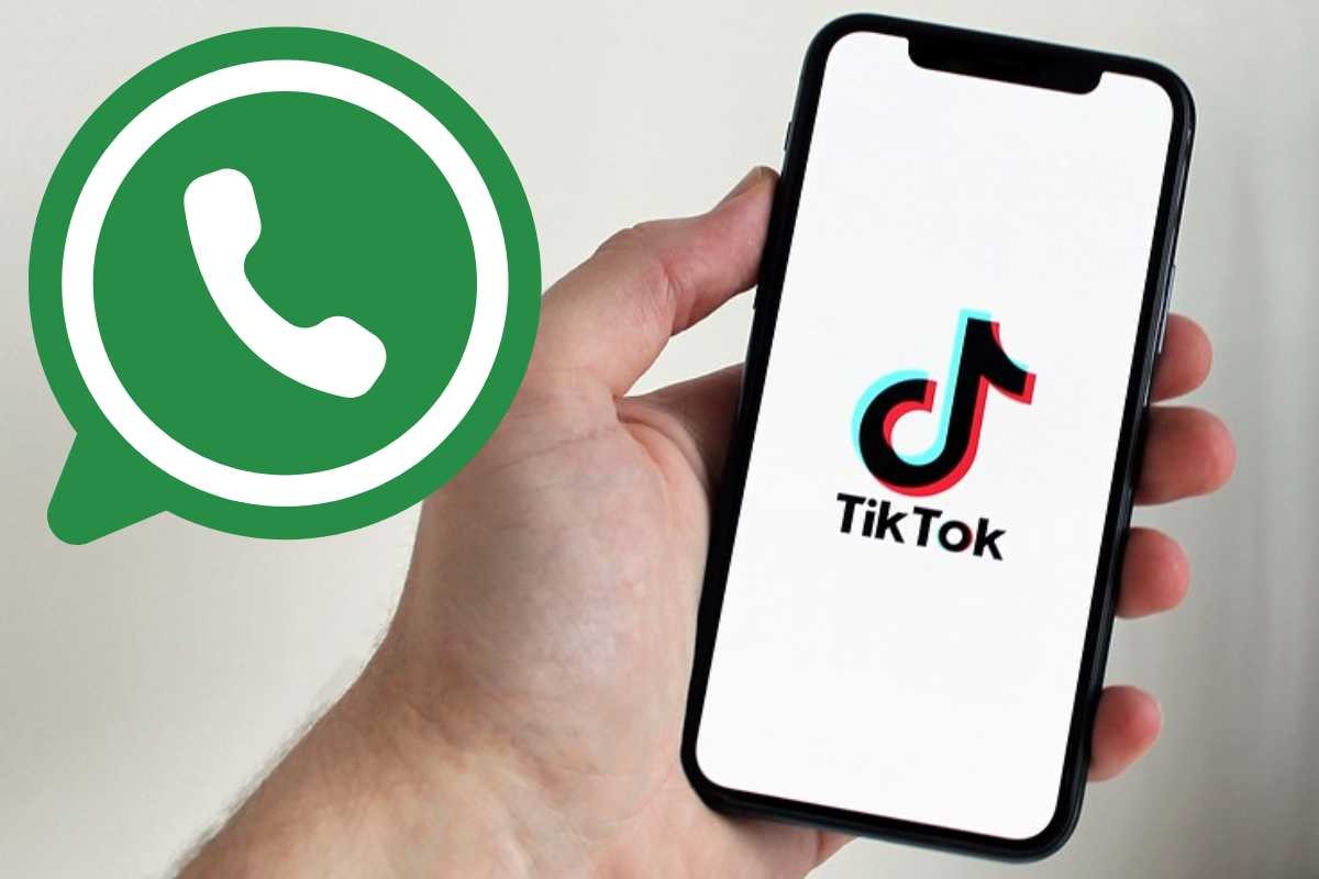 Mano con cellulare, loghi TikTok e WhatsApp