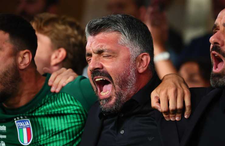 gattusa in campo