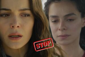 scritta stop, bahar e melek